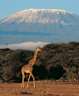 Tanzania